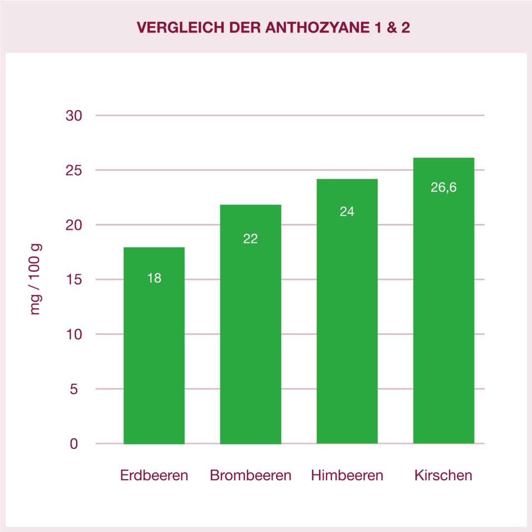 Vergleich des Anthozyan-Profils verschiedener Früchte: Kirschen mit höchstem Wert