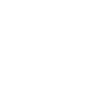 Icon Deutschland