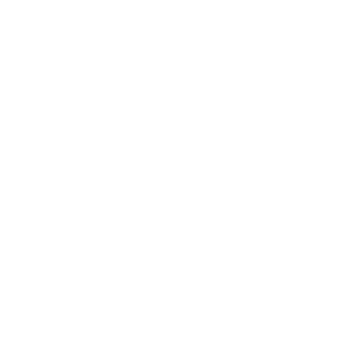 Icon vegan