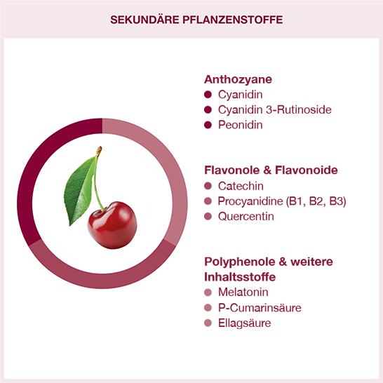 Sekundäre Pflanzenstoffe in Montmorency Sauerkirschen